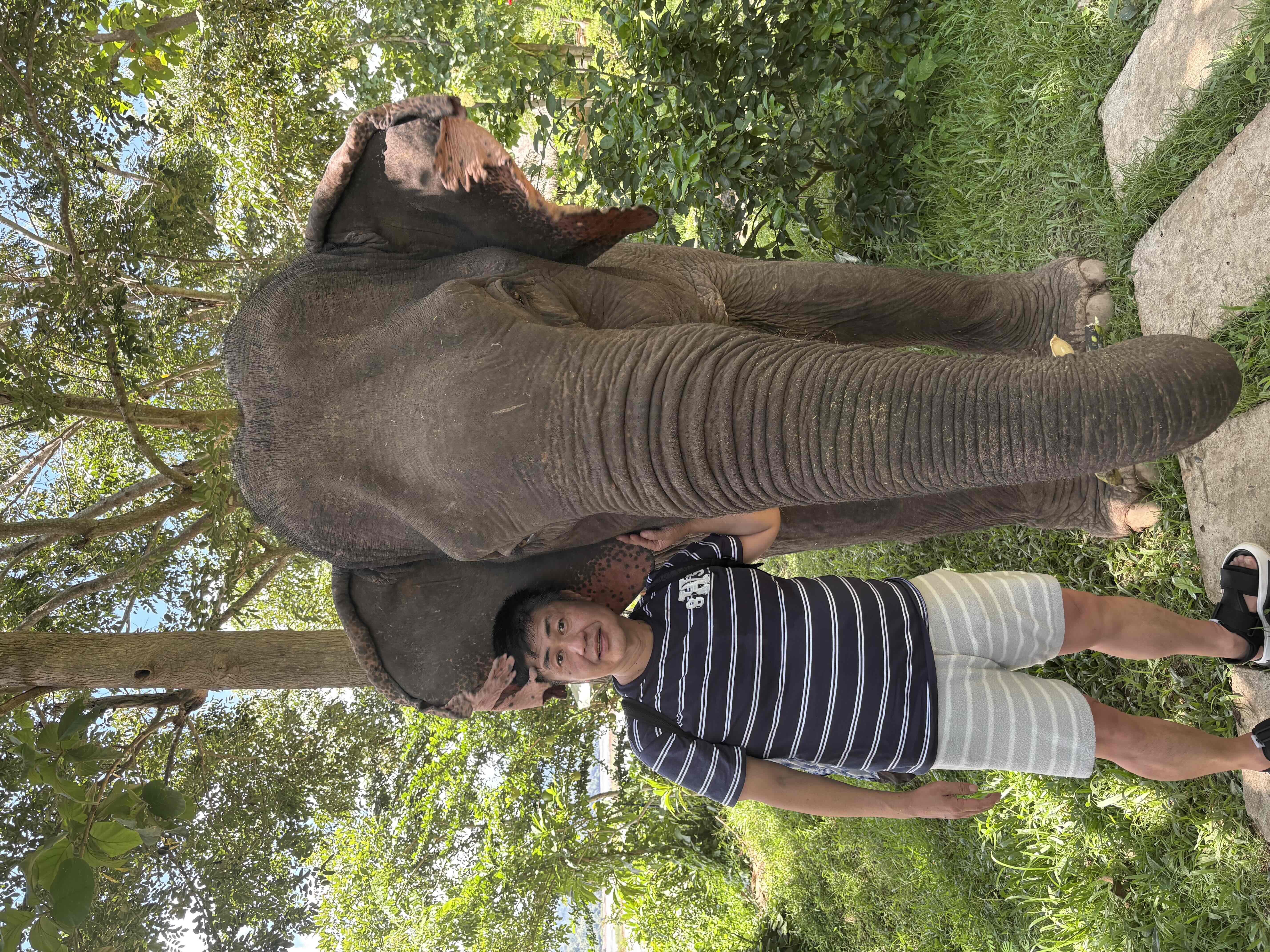 学習により実用的で有用な知識を得ることができた。