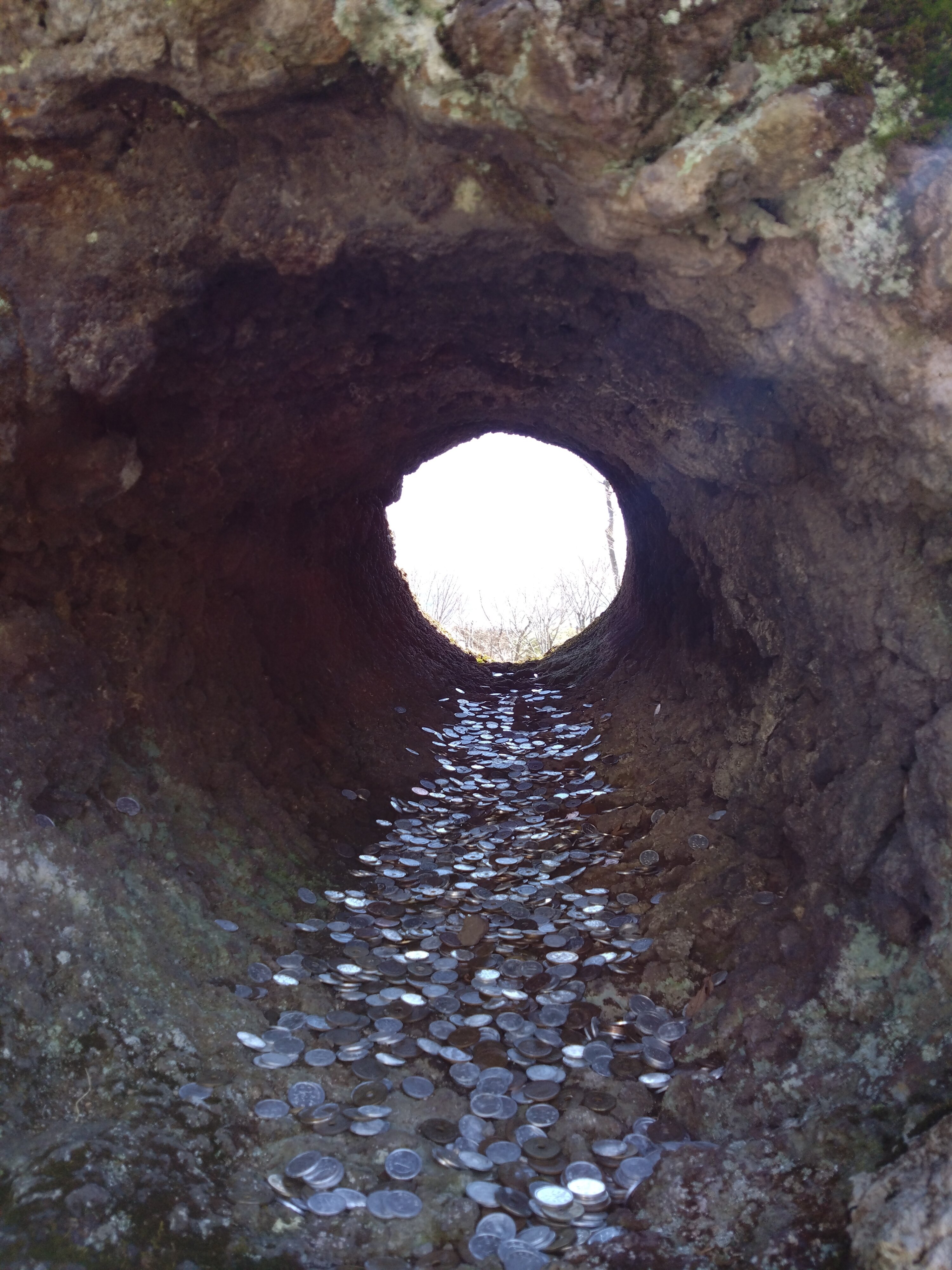 内部監査について体系的に学ぶことを通じて、自社に足りないところ、改善すべきところがよりクリアになりました。