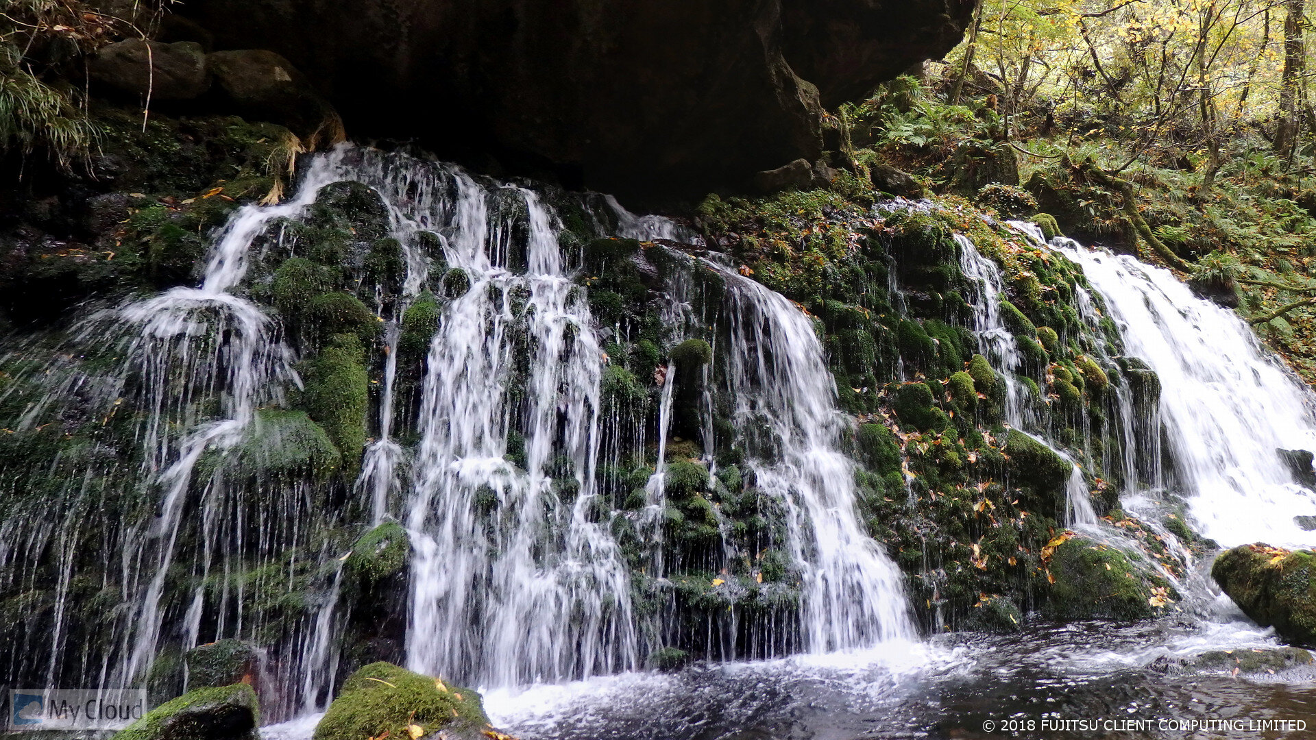 監査関連の視点だけでなく、組織論やリーダーシップ論で学んだ知識が業務でも役立つことです。社会人としての素養も高めることに繋がると感じています。