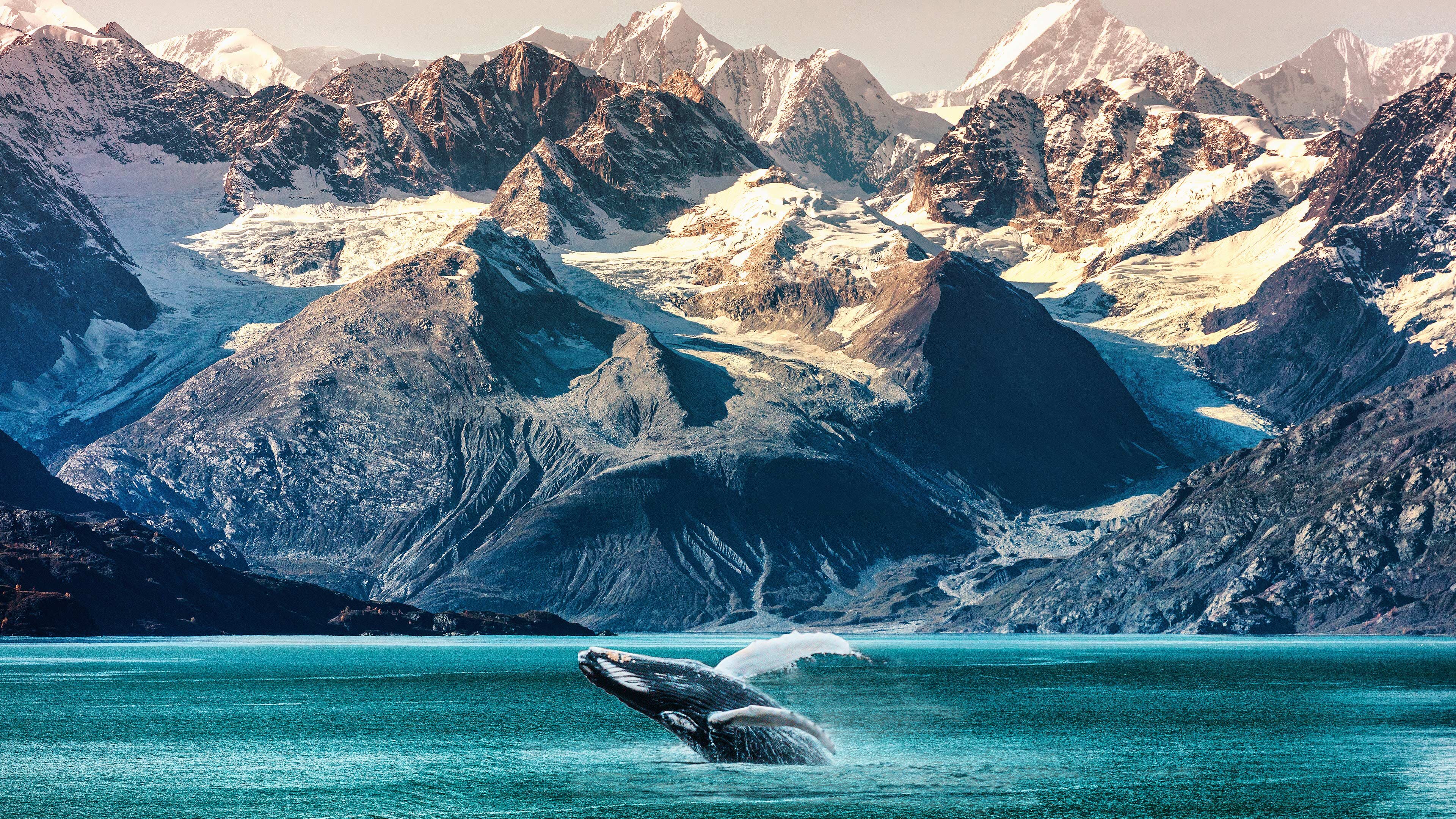 内部監査実務の必須事項だけでなく、ガバナンスやリスク管理のあり方について深掘りができた。