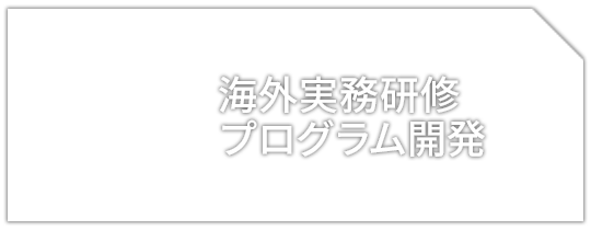 海外実務研修プログラム開発